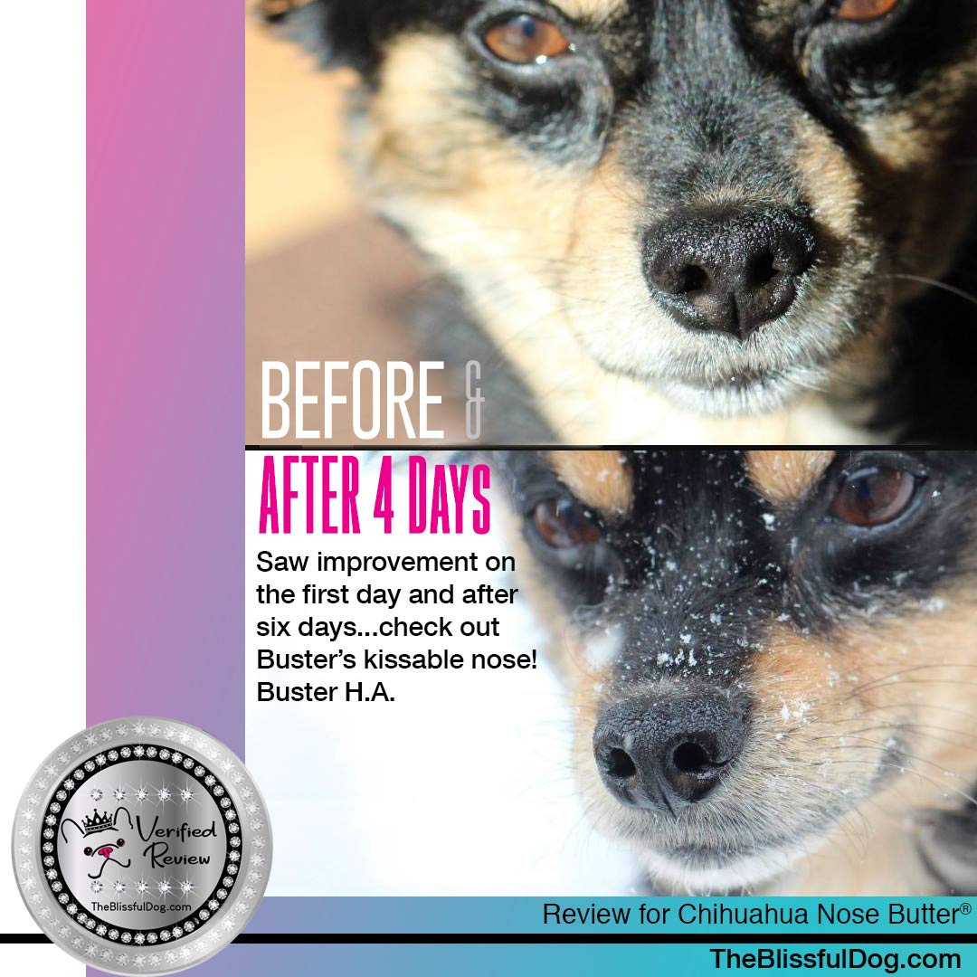 The Blissful Dog Long Coat Chihuahua Unscented Nose Butter - Dog Nose Butter , 0.50 Ounce